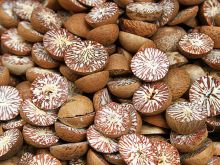 Dried betel nut (half cut)